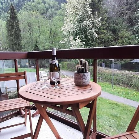 Un Havre De Paix Aux Pieds Des Chemins De Montagne Διαμέρισμα Les Contamines-Montjoie Εξωτερικό φωτογραφία